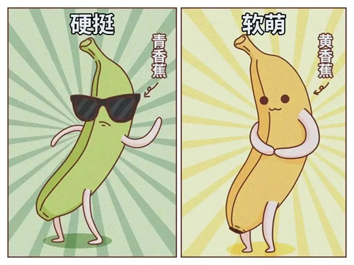 图片细节